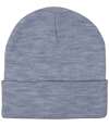 RX290 Pro RTX Pro Beanie Heather Grey colour image